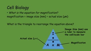 GCSE biology-paper-1-revision crammer.pptx