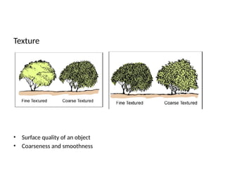 368658066-1-Elements-of-landscape-design-pptx.pptx