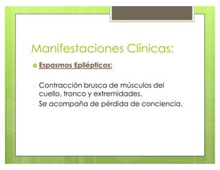 Manifestaciones Clínicas:
} Espasmos Epilépticos:
- Contracción brusca de músculos del
cuello, tronco y extremidades.
- Se acompaña de pérdida de conciencia.