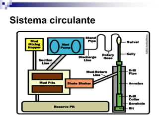 Sistema circulante
 