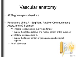 Vascular anatomy
• A2 Segment(pericallosal a.)
• Perforators of the A1 Segment, Anterior Communicating
Artery, and A2 Segment
– A1 : medial lenticulostriate a.,2-15 perforator
• supply the globus pallidus and medial portion of the putamen
– M1 : lateral lenticulostriate a.
• supply the lateral portion of the putamen and external
capsule
– ACoA perforator
 