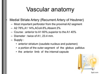 Vascular anatomy
• Medial Striate Artery (Recurrent Artery of Heubner)
– Most important perforator from the proximal A2 segment
– A2 78%,A1 14%,ACoA 8%,Absent 2%
– Course : anterior to A1 60%,superior to the A1 40%
– Diameter : twice of A1, 23.4 mm.
– Supply :
• anterior striatum (caudate nucleus and putamen)
• a portion of the outer segment of the globus pallidus
• the anterior limb of the internal capsule
 