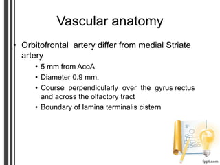 Vascular anatomy
• Orbitofrontal artery differ from medial Striate
artery
• 5 mm from AcoA
• Diameter 0.9 mm.
• Course perpendicularly over the gyrus rectus
and across the olfactory tract
• Boundary of lamina terminalis cistern
 