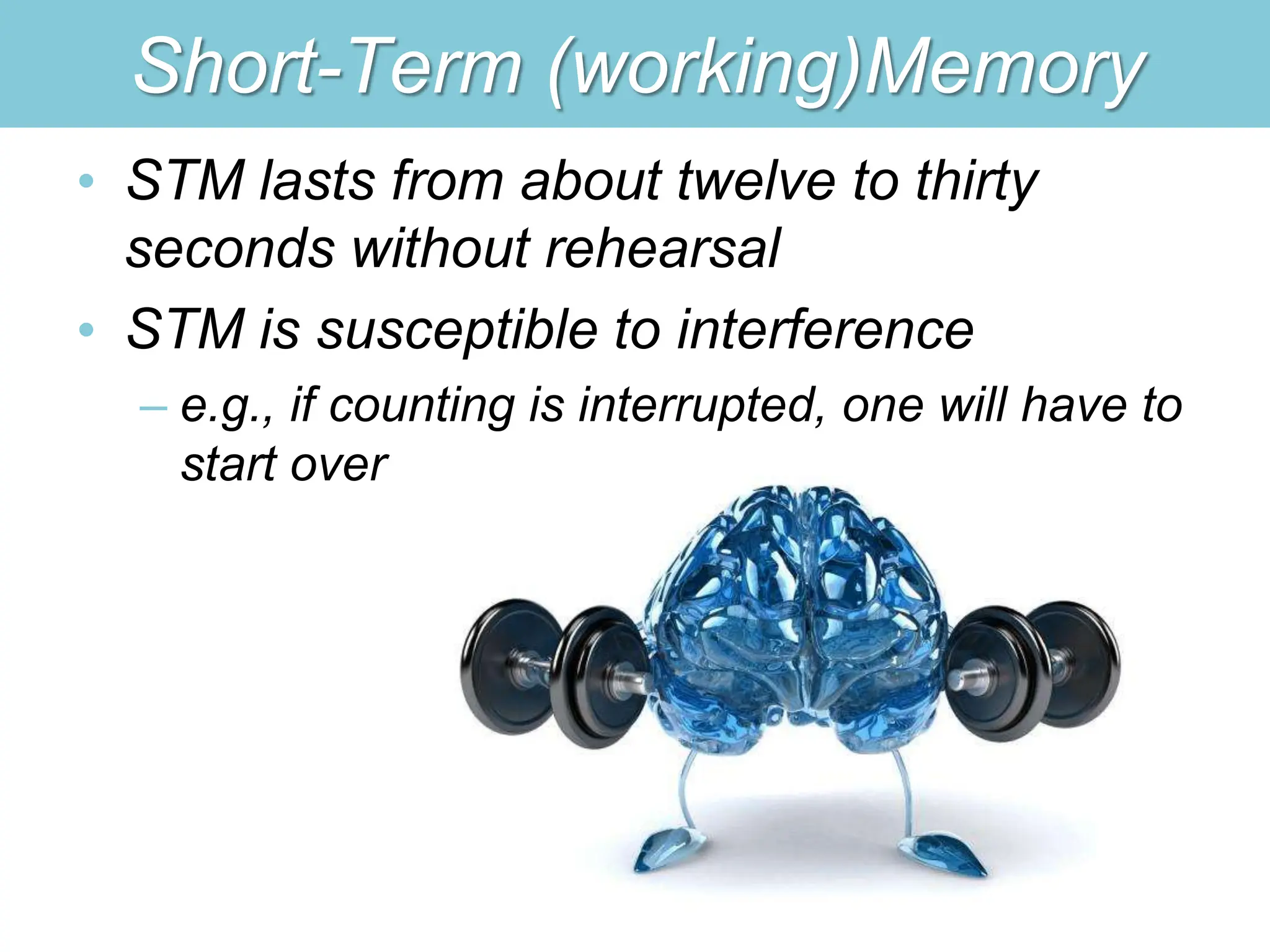 Short-Term (working)Memory
• STM lasts from about twelve to thirty
seconds without rehearsal
• STM is susceptible to interference
– e.g., if counting is interrupted, one will have to
start over
 