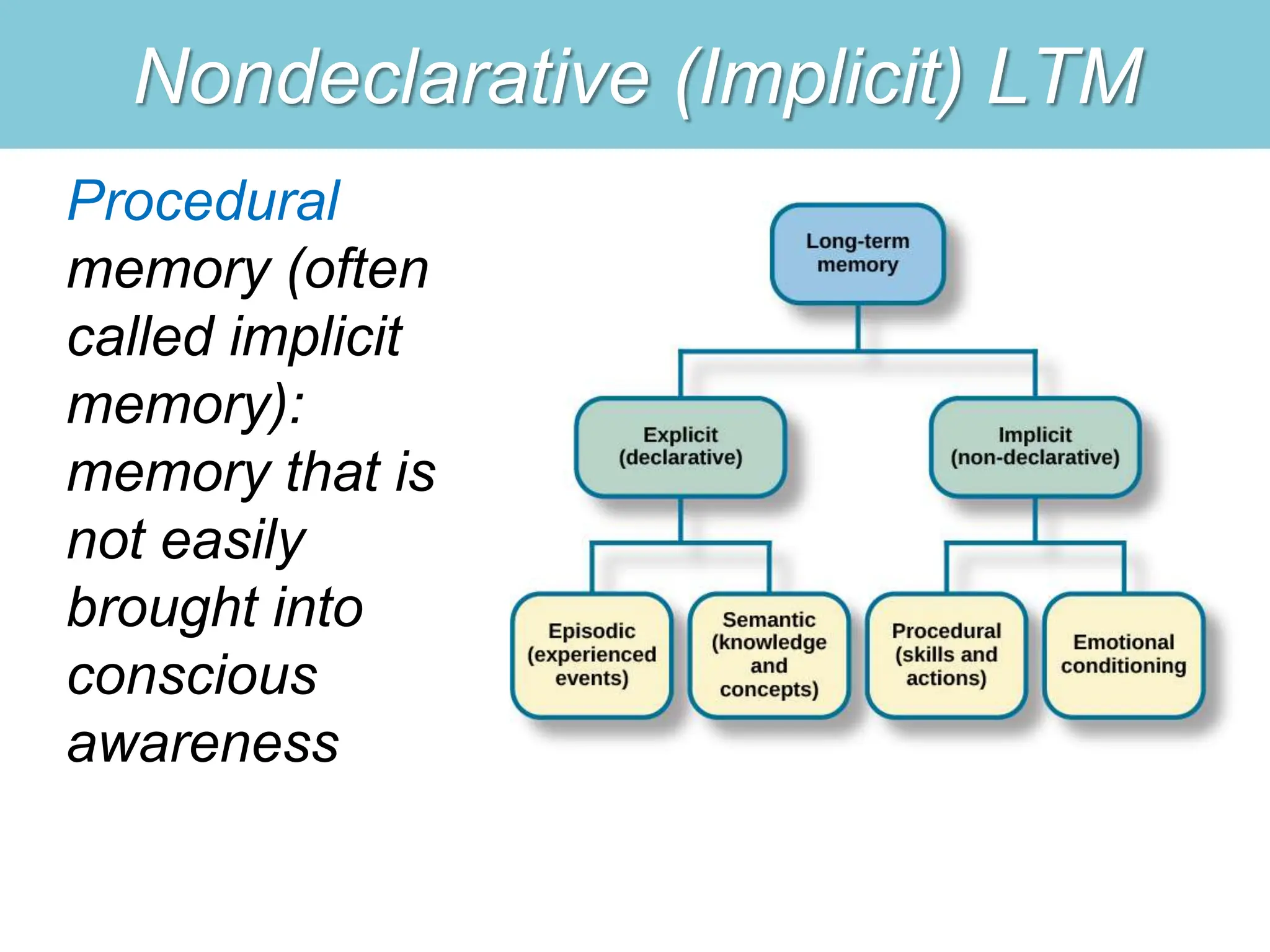 Nondeclarative (Implicit) LTM
Procedural
memory (often
called implicit
memory):
memory that is
not easily
brought into
conscious
awareness
 