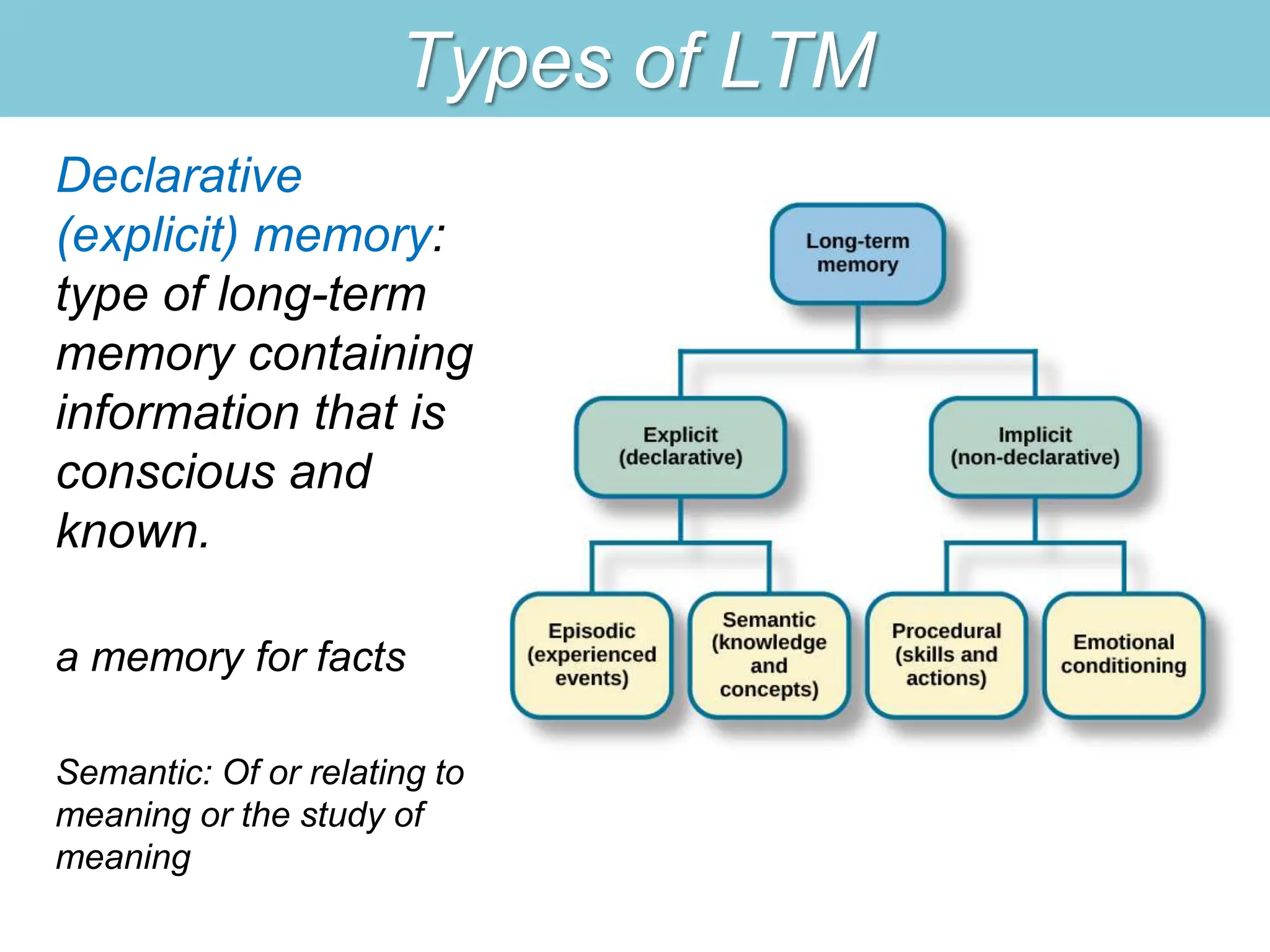 Types of LTM
Declarative
(explicit) memory:
type of long-term
memory containing
information that is
conscious and
known.
a memory for facts
Semantic: Of or relating to
meaning or the study of
meaning
 