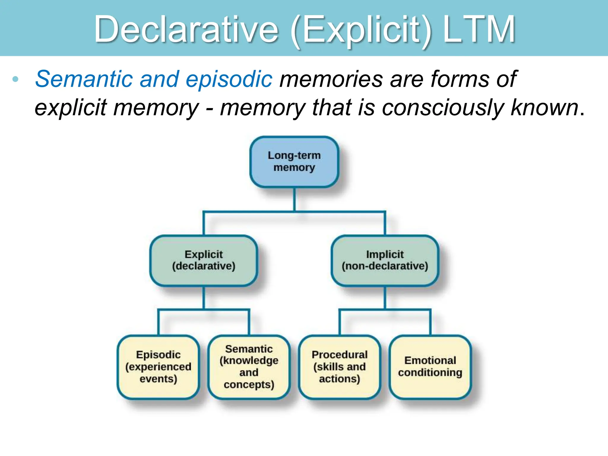 Declarative (Explicit) LTM
• Semantic and episodic memories are forms of
explicit memory - memory that is consciously known.
 