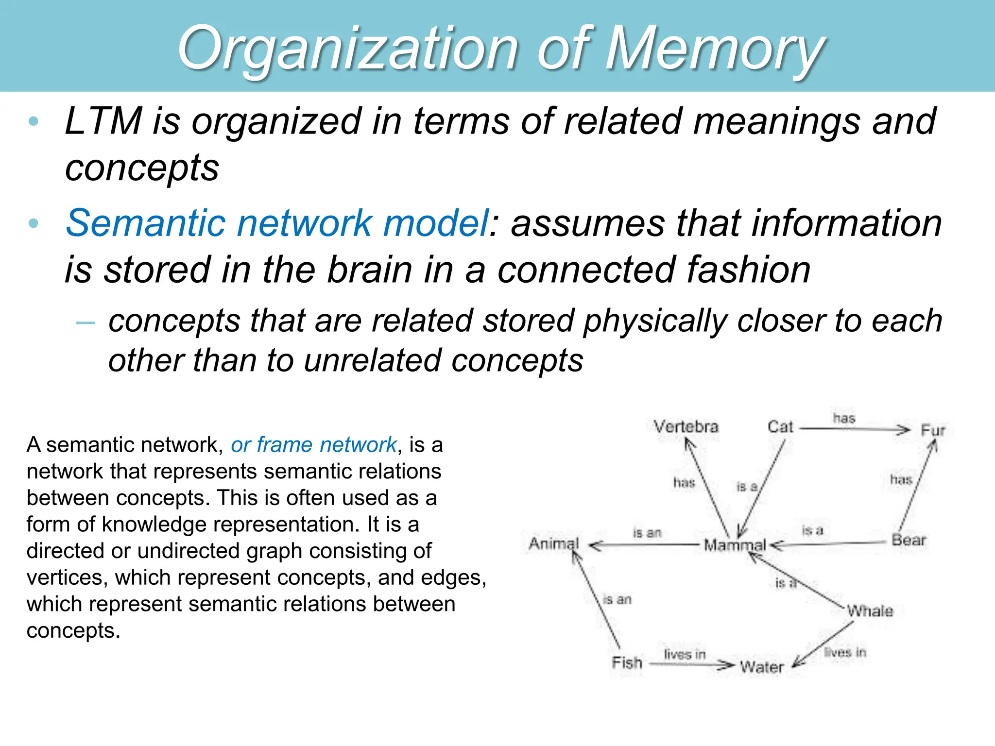 Organization of Memory
• LTM is organized in terms of related meanings and
concepts
• Semantic network model: assumes that information
is stored in the brain in a connected fashion
– concepts that are related stored physically closer to each
other than to unrelated concepts
A semantic network, or frame network, is a
network that represents semantic relations
between concepts. This is often used as a
form of knowledge representation. It is a
directed or undirected graph consisting of
vertices, which represent concepts, and edges,
which represent semantic relations between
concepts.
 