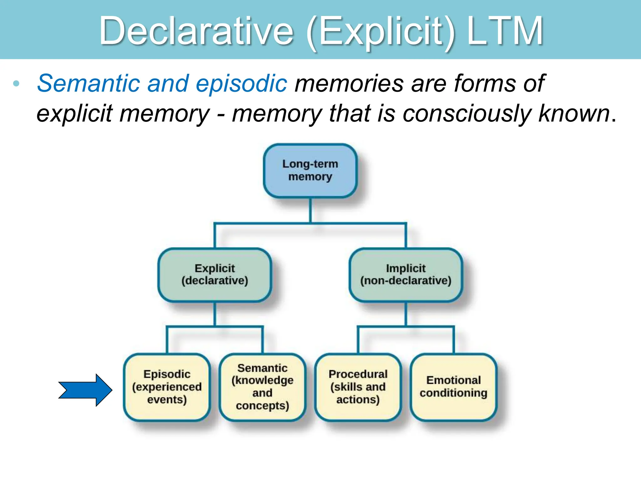 Declarative (Explicit) LTM
• Semantic and episodic memories are forms of
explicit memory - memory that is consciously known.
 