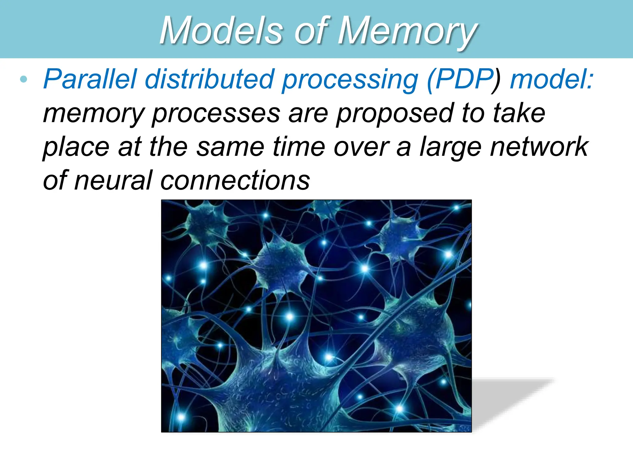 Models of Memory
• Parallel distributed processing (PDP) model:
memory processes are proposed to take
place at the same time over a large network
of neural connections
 