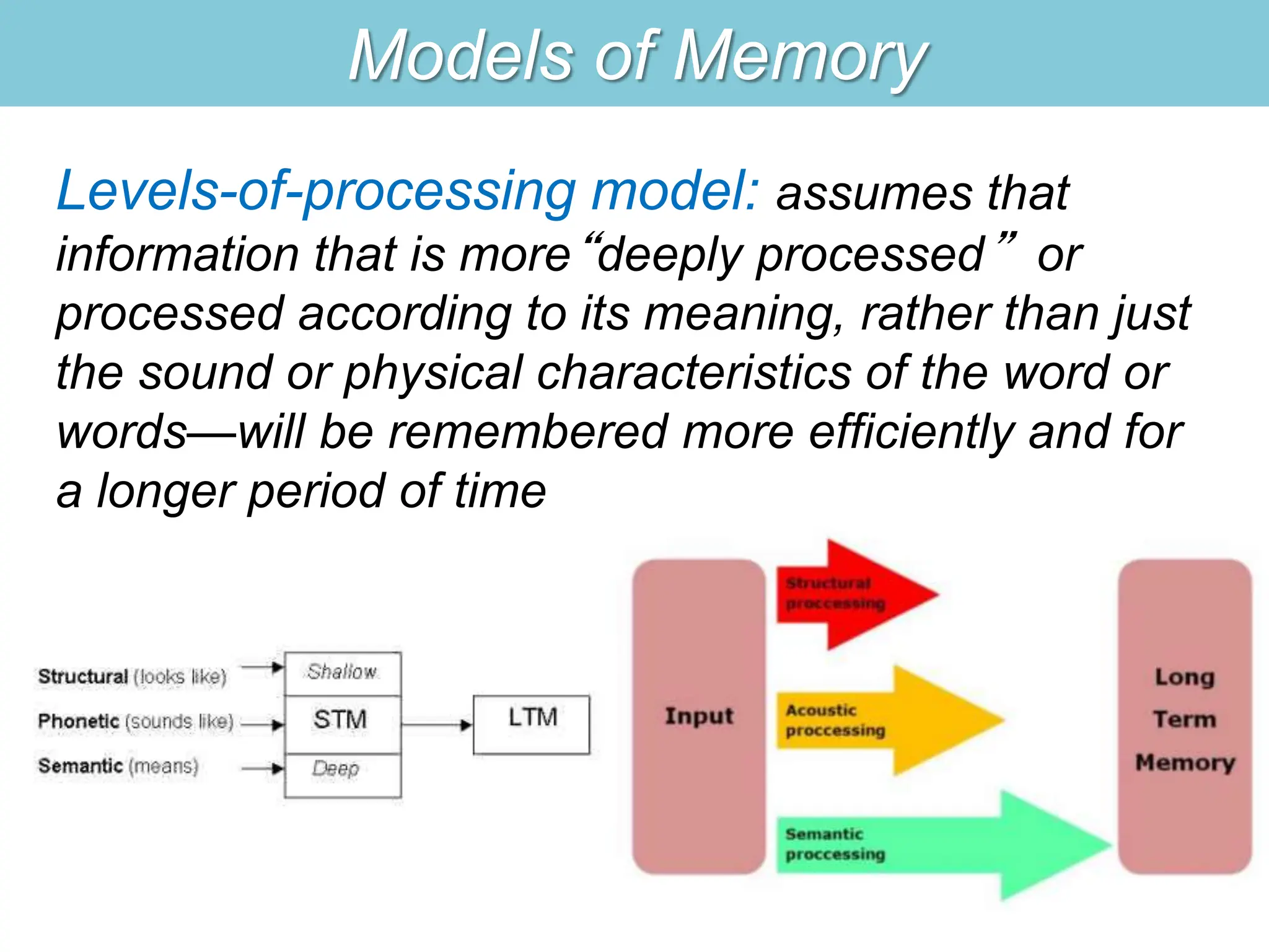 Models of Memory
Levels-of-processing model: assumes that
information that is more“deeply processed” or
processed according to its meaning, rather than just
the sound or physical characteristics of the word or
words—will be remembered more efficiently and for
a longer period of time
 