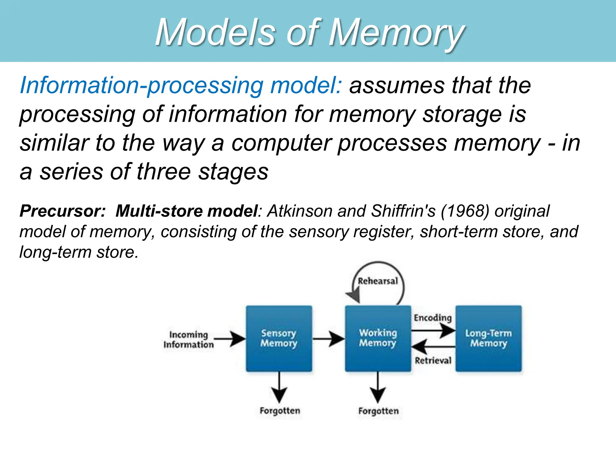 Models of Memory
Information-processing model: assumes that the
processing of information for memory storage is
similar to the way a computer processes memory - in
a series of three stages
Precursor: Multi-store model: Atkinson and Shiffrin's (1968) original
model of memory, consisting of the sensory register, short-term store, and
long-term store.
 