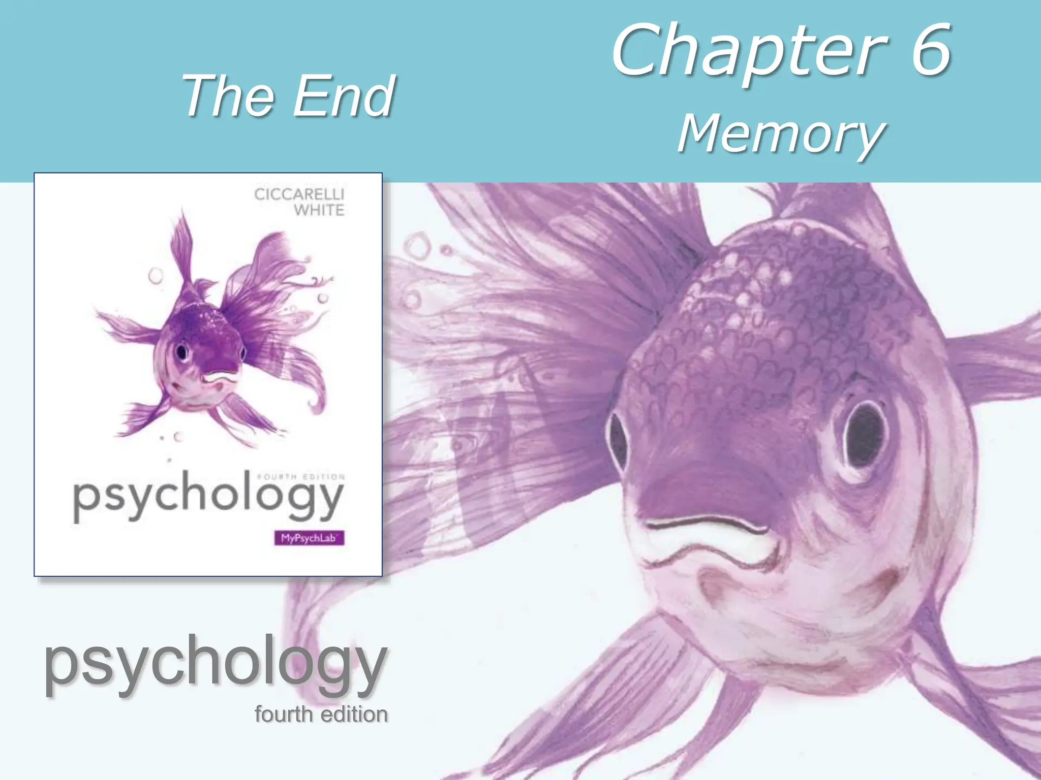 psychology
fourth edition
Chapter 6
Memory
The End
 