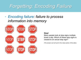 Cognitive Psychology Memory - Short Term | PPT