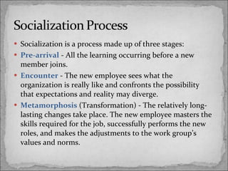 Socialization is a process made up of three stages:  Pre-arrival  - All the learning occurring before a new member joins. Encounter  - The new employee sees what the organization is really like and confronts the possibility that expectations and reality may diverge.  Metamorphosis  (Transformation) - The relatively long-lasting changes take place. The new employee masters the skills required for the job, successfully performs the new roles, and makes the adjustments to the work group’s values and norms. 