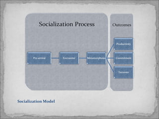 Socialization Model 