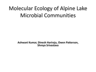 Molecular Ecology of Alpine Lake
Microbial Communities
Ashwani Kumar, Dinesh Hariraju, Owen Patterson,
Shreya Srivastava
 
