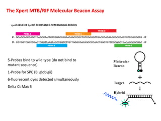 Xpert- MTB-RIF Data _Biman | PDF
