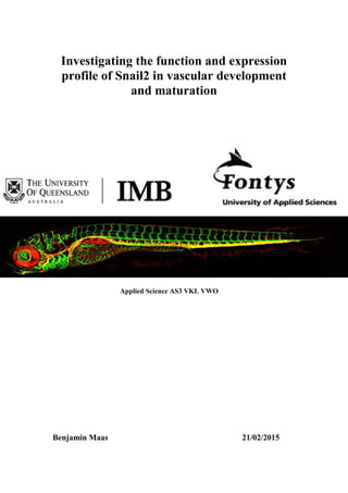 Investigating the function and expression
profile of Snail2 in vascular development
and maturation
Benjamin Maas 21/02/2015
Applied Science AS3 VKL VWO
 