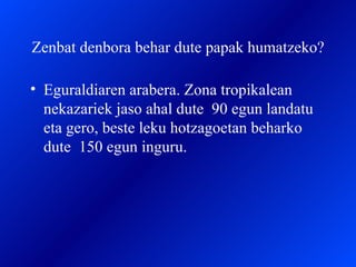 Zenbat denbora behar dute papak humatzeko? Eguraldiaren arabera. Zona tropikalean nekazariek jaso ahal dute  90 egun landatu eta gero, beste leku hotzagoetan beharko dute  150 egun inguru. 