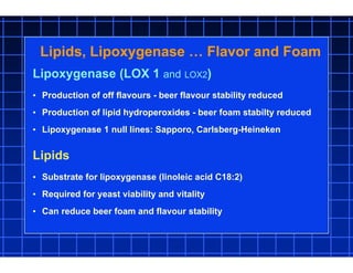Lipoxygenase (LOX 1 and LOX2)
• Production of off flavours - beer flavour stability reduced
• Production of lipid hydroperoxides - beer foam stabilty reduced
• Lipoxygenase 1 null lines: Sapporo, Carlsberg-Heineken
Lipids, Lipoxygenase … Flavor and Foam
Lipids
• Substrate for lipoxygenase (linoleic acid C18:2)
• Required for yeast viability and vitality
• Can reduce beer foam and flavour stability
 