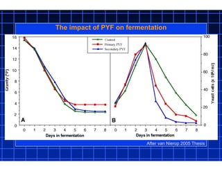 The impact of PYF on fermentation
After van Nierop 2005 Thesis
 