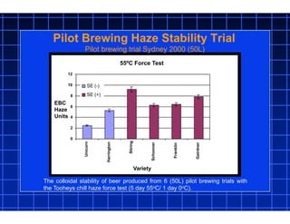 Pilot Brewing Haze Stability Trial
55ºC Force Test
0
2
4
6
8
10
12
Unicorn
Harrington
Stiring
Schooner
Franklin
Gairdner
Variety
EBC
Haze
Units
SE (-)
SE (+)
The colloidal stability of beer produced from 6 (50L) pilot brewing trials with
the Tooheys chill haze force test (5 day 55oC/ 1 day 0oC).
Pilot brewing trial Sydney 2000 (50L)
 