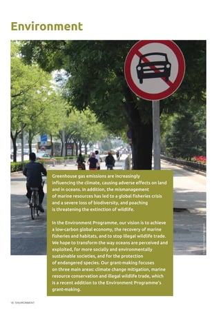 ENVIRONMENT18
Greenhouse gas emissions are increasingly
influencing the climate, causing adverse effects on land
and in oceans. In addition, the mismanagement
of marine resources has led to a global fisheries crisis
and a severe loss of biodiversity, and poaching
is threatening the extinction of wildlife.
In the Environment Programme, our vision is to achieve
a low-carbon global economy, the recovery of marine
fisheries and habitats, and to stop illegal wildlife trade.
We hope to transform the way oceans are perceived and
exploited, for more socially and environmentally
sustainable societies, and for the protection
of endangered species. Our grant-making focuses
on three main areas: climate change mitigation, marine
resource conservation and illegal wildlife trade, which
is a recent addition to the Environment Programme’s
grant-making.
©RachelMcKee/OakFoundation
Environment
 