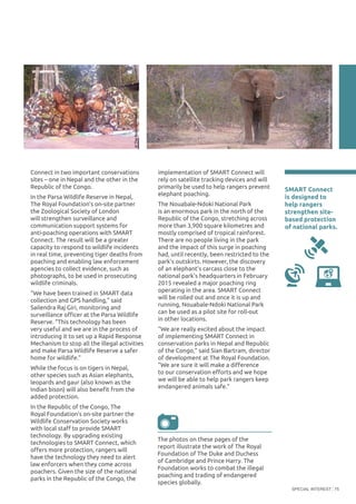 SPECIAL INTEREST 75
Connect in two important conservations
sites – one in Nepal and the other in the
Republic of the Congo.
In the Parsa Wildlife Reserve in Nepal,
The Royal Foundation’s on-site partner
the Zoological Society of London
will strengthen surveillance and
communication support systems for
anti-poaching operations with SMART
Connect. The result will be a greater
capacity to respond to wildlife incidents
in real time, preventing tiger deaths from
poaching and enabling law enforcement
agencies to collect evidence, such as
photographs, to be used in prosecuting
wildlife criminals.
“We have been trained in SMART data
collection and GPS handling,” said
Sailendra Raj Giri, monitoring and
surveillance officer at the Parsa Wildlife
Reserve. “This technology has been
very useful and we are in the process of
introducing it to set up a Rapid Response
Mechanism to stop all the illegal activities
and make Parsa Wildlife Reserve a safer
home for wildlife.”
While the focus is on tigers in Nepal,
other species such as Asian elephants,
leopards and gaur (also known as the
Indian bison) will also benefit from the
added protection.
In the Republic of the Congo, The
Royal Foundation’s on-site partner the
Wildlife Conservation Society works
with local staff to provide SMART
technology. By upgrading existing
technologies to SMART Connect, which
offers more protection, rangers will
have the technology they need to alert
law enforcers when they come across
poachers. Given the size of the national
parks in the Republic of the Congo, the
implementation of SMART Connect will
rely on satellite tracking devices and will
primarily be used to help rangers prevent
elephant poaching.
The Nouabale-Ndoki National Park
is an enormous park in the north of the
Republic of the Congo, stretching across
more than 3,900 square kilometres and
mostly comprised of tropical rainforest.
There are no people living in the park
and the impact of this surge in poaching
had, until recently, been restricted to the
park’s outskirts. However, the discovery
of an elephant’s carcass close to the
national park’s headquarters in February
2015 revealed a major poaching ring
operating in the area. SMART Connect
will be rolled out and once it is up and
running, Nouabale-Ndoki National Park
can be used as a pilot site for roll-out
in other locations.
“We are really excited about the impact
of implementing SMART Connect in
conservation parks in Nepal and Republic
of the Congo,” said Sian Bartram, director
of development at The Royal Foundation.
“We are sure it will make a difference
to our conservation efforts and we hope
we will be able to help park rangers keep
endangered animals safe.”
SMART Connect
is designed to
help rangers
strengthen site-
based protection
of national parks.
1
The photos on these pages of the
report illustrate the work of The Royal
Foundation of The Duke and Duchess
of Cambridge and Prince Harry. The
Foundation works to combat the illegal
poaching and trading of endangered
species globally.
©TheRoyalFoundation
©SebastianTurner/OakFoundation
 