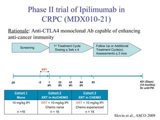 Phase II trial of Ipilimumab in CRPC (MDX010-21) Slovin et al., ASCO 2009 Rationale : Anti-CTLA4 monoclonal Ab capable of enhancing  anti-cancer immunity -28 1 IPI 22 IPI 43 IPI 64 IPI 85 421 (Days) (14 months)  Or until PD -2 Screening 1 st  Treatment Cycle Dosing q 3wk x 4 Follow Up or Additional  Treatment Cycle(s); Assessments q 3 mos XRT XRT  + 10 mg/kg IPI Chemo experienced n = 18 XRT  + 10 mg/kg IPI Chemo naïve n = 16 10 mg/kg IPI n =16 Cohort 3 XRT in CHEMO Cohort 2 XRT in NoCHEMO Cohort 1 Mono 