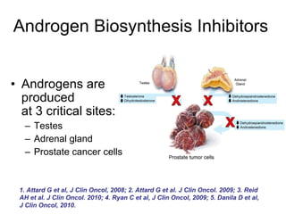 Androgen Biosynthesis Inhibitors Androgens are produced  at 3 critical sites: Testes Adrenal gland Prostate cancer cells 1. Attard G et al, J Clin Oncol, 2008; 2. Attard G et al.  J Clin Oncol. 2009; 3. Reid AH et al. J Clin Oncol. 2010; 4. Ryan C et al, J Clin Oncol, 2009; 5. Danila D et al, J Clin Oncol, 2010. 