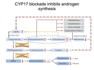 CYP17 blockade inhibits androgen synthesis b 