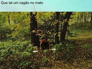 Que tal um cagão no mato
 