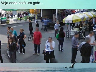 Veja onde está um gato...
 