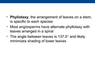 • Phyllotaxy, the arrangement of leaves on a stem,
  is specific to each species
• Most angiosperms have alternate phyllotaxy with
  leaves arranged in a spiral
• The angle between leaves is 137.5° and likely
  minimizes shading of lower leaves
 