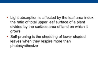• Light absorption is affected by the leaf area index,
  the ratio of total upper leaf surface of a plant
  divided by the surface area of land on which it
  grows
• Self-pruning is the shedding of lower shaded
  leaves when they respire more than
  photosynthesize
 