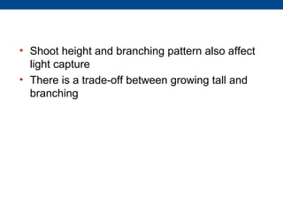 • Shoot height and branching pattern also affect
  light capture
• There is a trade-off between growing tall and
  branching
 