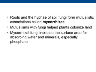 • Roots and the hyphae of soil fungi form mutualistic
  associations called mycorrhizae
• Mutualisms with fungi helped plants colonize land
• Mycorrhizal fungi increase the surface area for
  absorbing water and minerals, especially
  phosphate
 