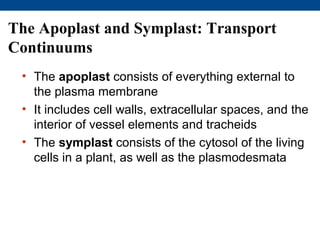 The Apoplast and Symplast: Transport
Continuums
 • The apoplast consists of everything external to
   the plasma membrane
 • It includes cell walls, extracellular spaces, and the
   interior of vessel elements and tracheids
 • The symplast consists of the cytosol of the living
   cells in a plant, as well as the plasmodesmata
 