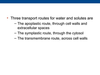 • Three transport routes for water and solutes are
    – The apoplastic route, through cell walls and
      extracellular spaces
    – The symplastic route, through the cytosol
    – The transmembrane route, across cell walls
 