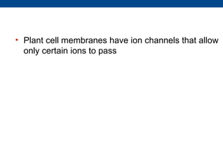 • Plant cell membranes have ion channels that allow
  only certain ions to pass
 