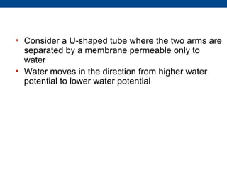 • Consider a U-shaped tube where the two arms are
  separated by a membrane permeable only to
  water
• Water moves in the direction from higher water
  potential to lower water potential
 