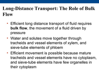 Long-Distance Transport: The Role of Bulk
Flow
 • Efficient long distance transport of fluid requires
   bulk flow, the movement of a fluid driven by
   pressure
 • Water and solutes move together through
   tracheids and vessel elements of xylem, and
   sieve-tube elements of phloem
 • Efficient movement is possible because mature
   tracheids and vessel elements have no cytoplasm,
   and sieve-tube elements have few organelles in
   their cytoplasm
 