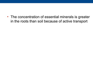 • The concentration of essential minerals is greater
  in the roots than soil because of active transport
 