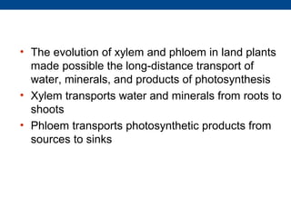 • The evolution of xylem and phloem in land plants
  made possible the long-distance transport of
  water, minerals, and products of photosynthesis
• Xylem transports water and minerals from roots to
  shoots
• Phloem transports photosynthetic products from
  sources to sinks
 