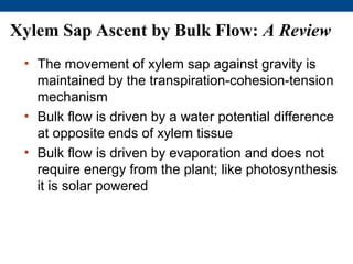 Xylem Sap Ascent by Bulk Flow: A Review
 • The movement of xylem sap against gravity is
   maintained by the transpiration-cohesion-tension
   mechanism
 • Bulk flow is driven by a water potential difference
   at opposite ends of xylem tissue
 • Bulk flow is driven by evaporation and does not
   require energy from the plant; like photosynthesis
   it is solar powered
 