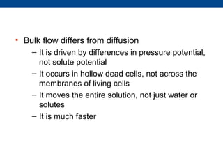 • Bulk flow differs from diffusion
    – It is driven by differences in pressure potential,
      not solute potential
    – It occurs in hollow dead cells, not across the
      membranes of living cells
    – It moves the entire solution, not just water or
      solutes
    – It is much faster
 