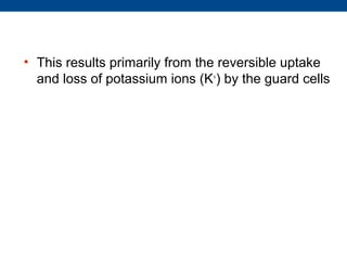 • This results primarily from the reversible uptake
  and loss of potassium ions (K+) by the guard cells
 