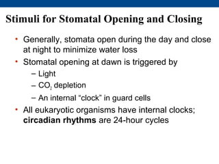 Stimuli for Stomatal Opening and Closing
 • Generally, stomata open during the day and close
   at night to minimize water loss
 • Stomatal opening at dawn is triggered by
     – Light
     – CO2 depletion
     – An internal “clock” in guard cells
 • All eukaryotic organisms have internal clocks;
   circadian rhythms are 24-hour cycles
 