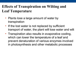 Effects of Transpiration on Wilting and
Leaf Temperature
 • Plants lose a large amount of water by
   transpiration
 • If the lost water is not replaced by sufficient
   transport of water, the plant will lose water and wilt
 • Transpiration also results in evaporative cooling,
   which can lower the temperature of a leaf and
   prevent denaturation of various enzymes involved
   in photosynthesis and other metabolic processes
 